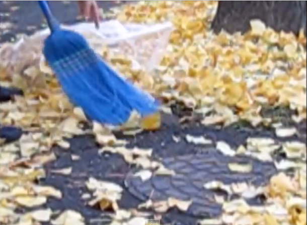 機械を使わない落ち葉枯れ葉掃除のコツ｜ゴミ袋をちりとりにする裏技